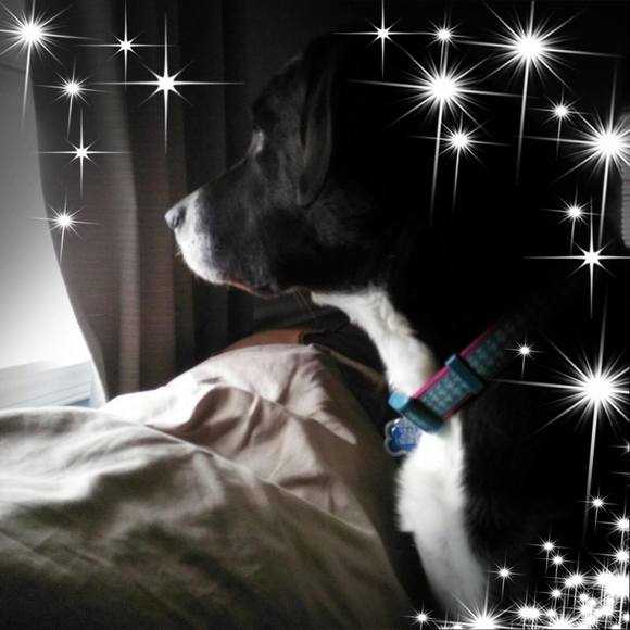 Meet your Posher, Cindy - Picture 1 of 1